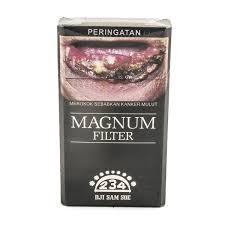 Magnum Filter 12